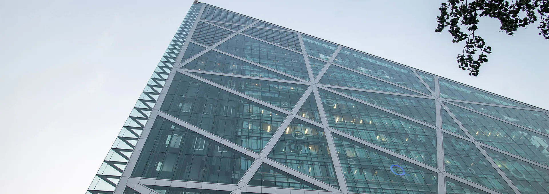 Steel Structure Building&Steel Structure Buildings & Prefabricated Houses