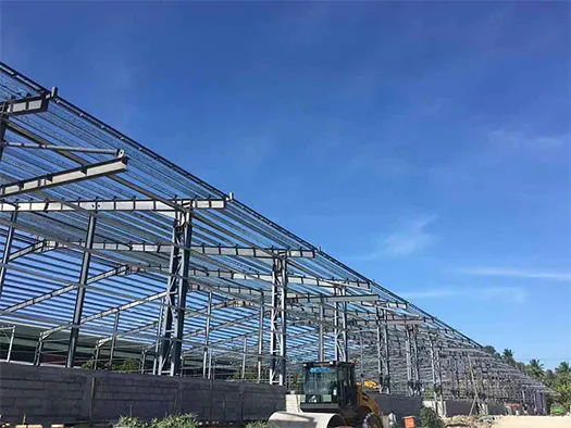 9855m² Steel Structure Warehouse Logistic Center in Davao, Philippines