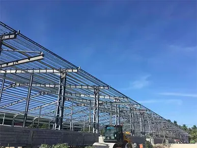 9855m² Steel Structure Warehouse Logistic Center in Davao, Philippines