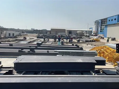 Venezuela Processing Plant Project