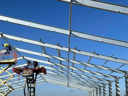 Poland steel structure chicken house