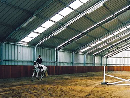 Horse training field