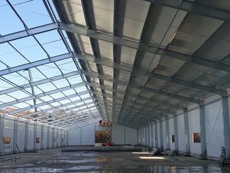 Hot-dip galvanized steel structure for chicken farm buildings