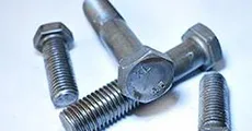 Common Bolt