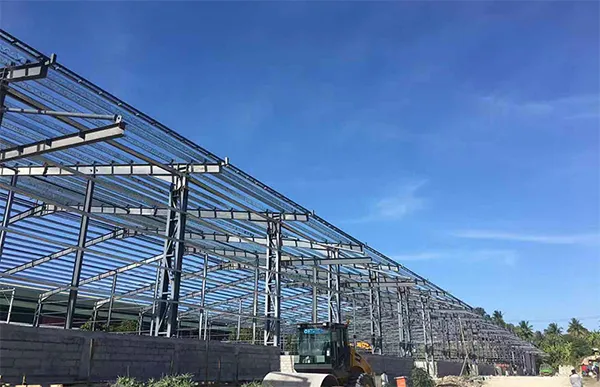 9855m² Steel Structure Warehouse Logistic Center in Davao, Philippines